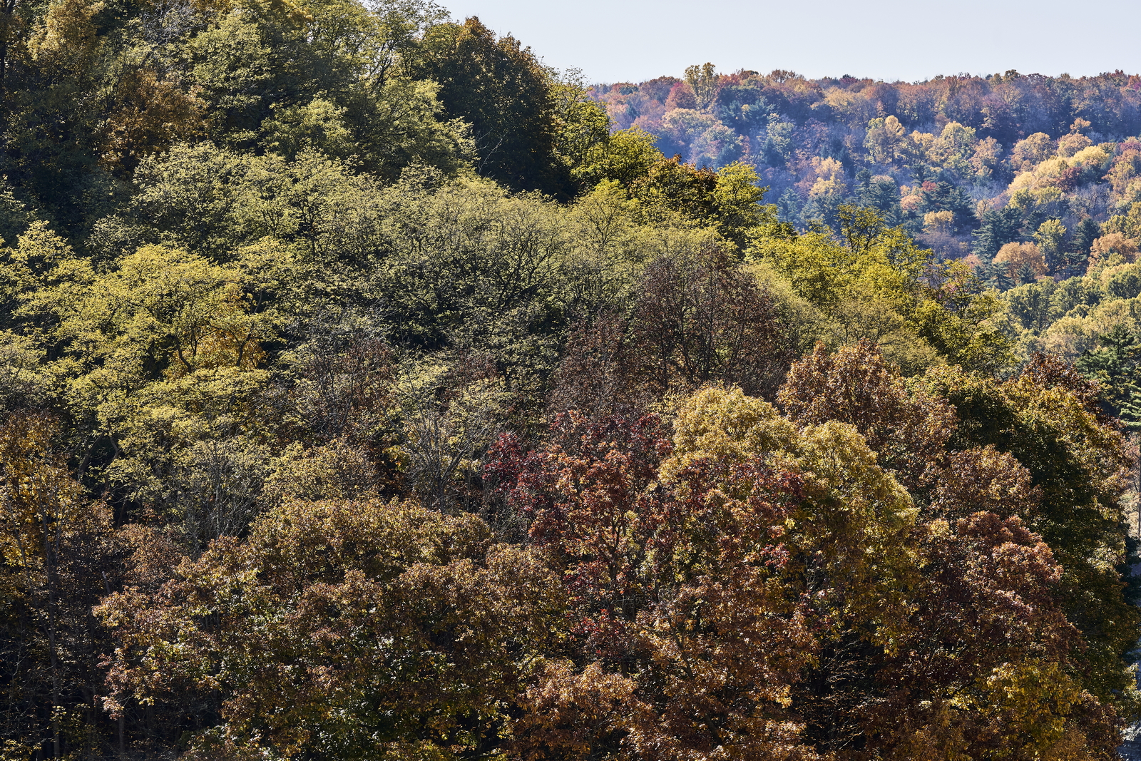 Indian Summer, Letchworth State Park, NY, USA